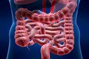 Global Research Trends on Colorectal Cancer 2014 2023 A Scientometric and Visualized Study